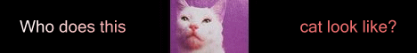gif17