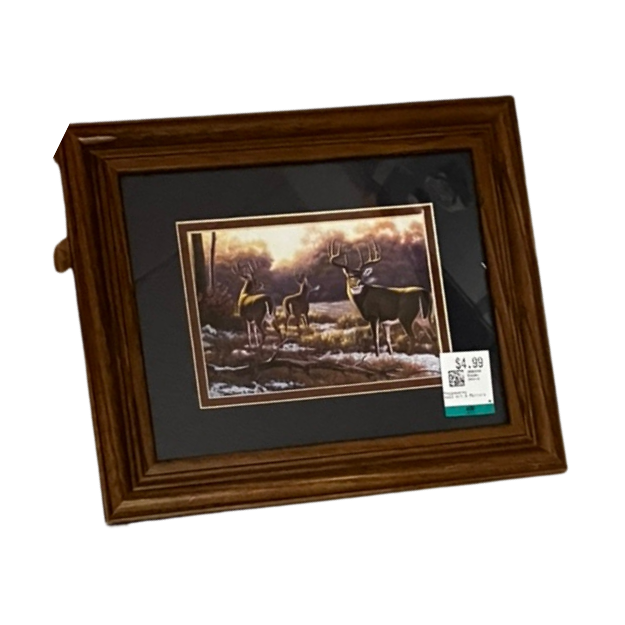 gif5